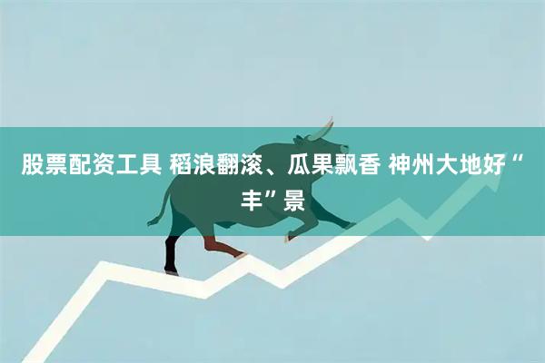 股票配资工具 稻浪翻滚、瓜果飘香 神州大地好“丰”景