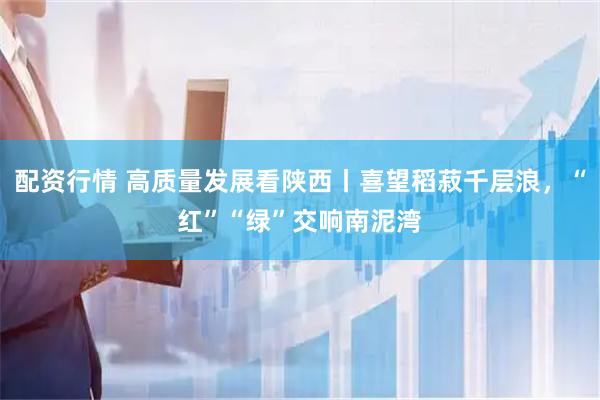 配资行情 高质量发展看陕西丨喜望稻菽千层浪，“红”“绿”交响南泥湾