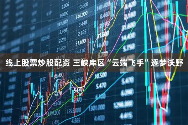 线上股票炒股配资 三峡库区“云端飞手”逐梦沃野